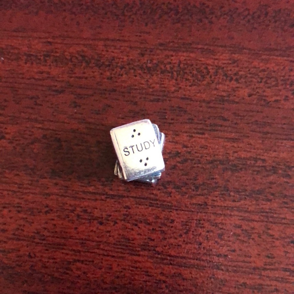 Study pandora charm